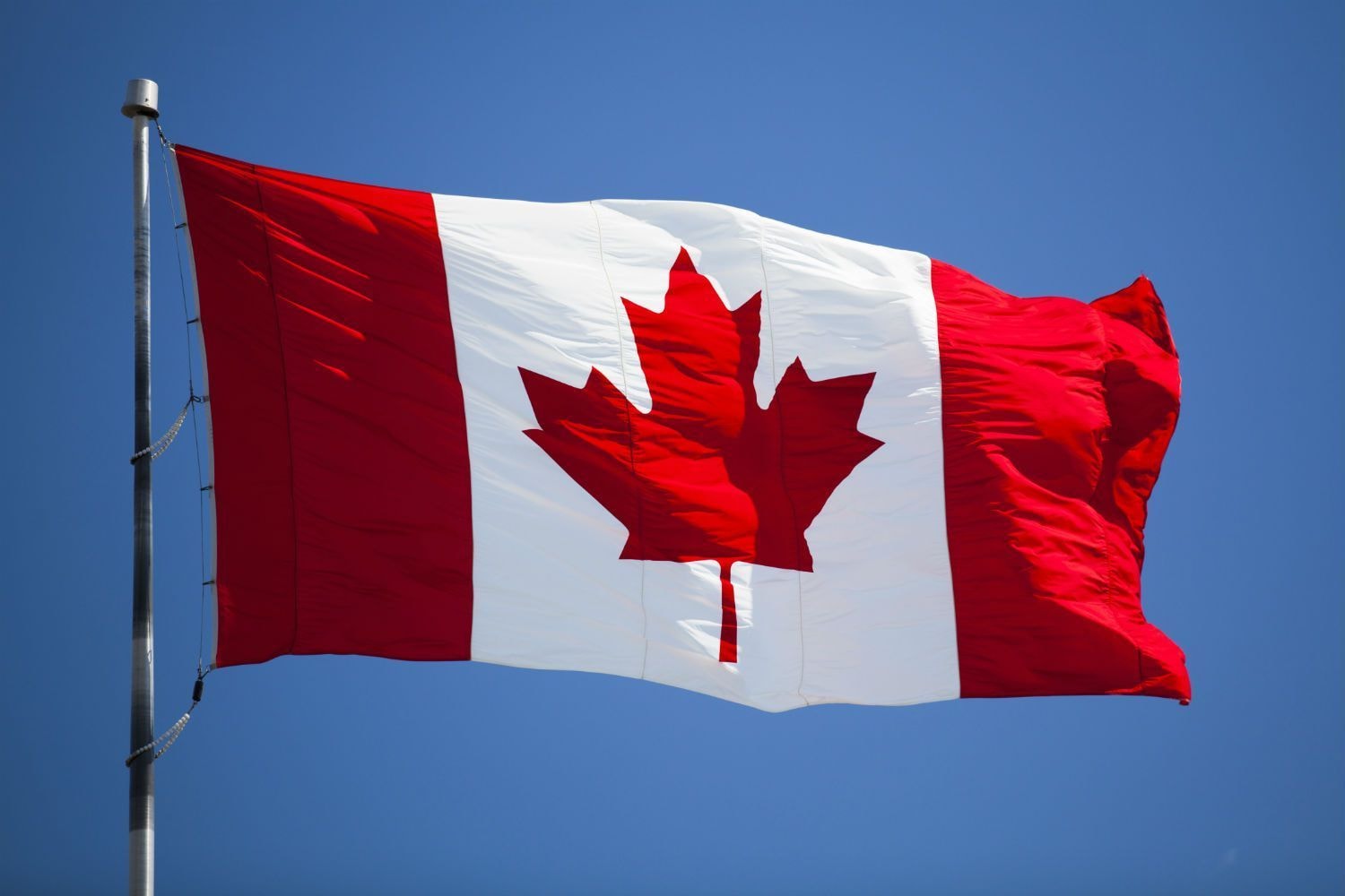 Canadian golfer exchange rate equalizer promotion